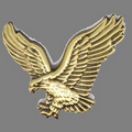Eagle Pin - Bronze